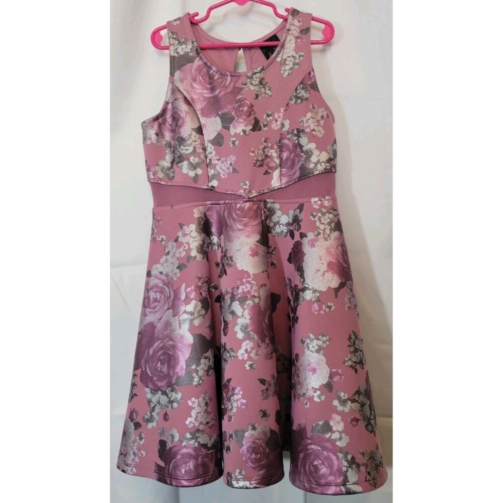 2 Hip Girl's Party Dress Pink Purple Gray Rose Floral SIZE 10